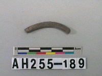 藏品(灰色泥質陶環殘件)的圖片